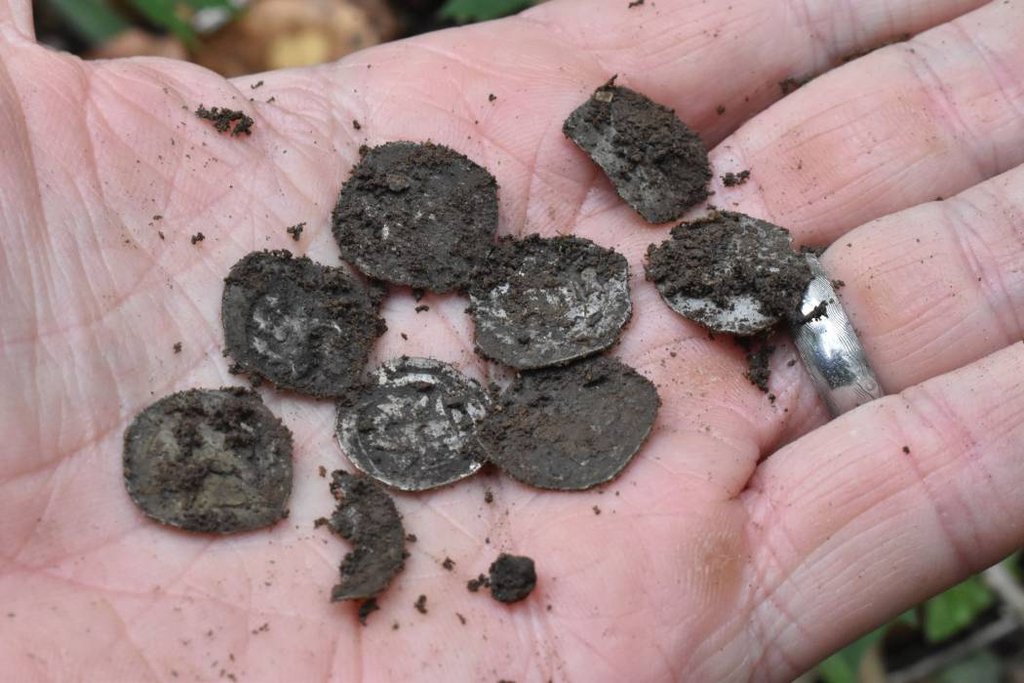 03 – Mince nájdené archeológmi KPÚ Trnava. Foto: P. Grznár