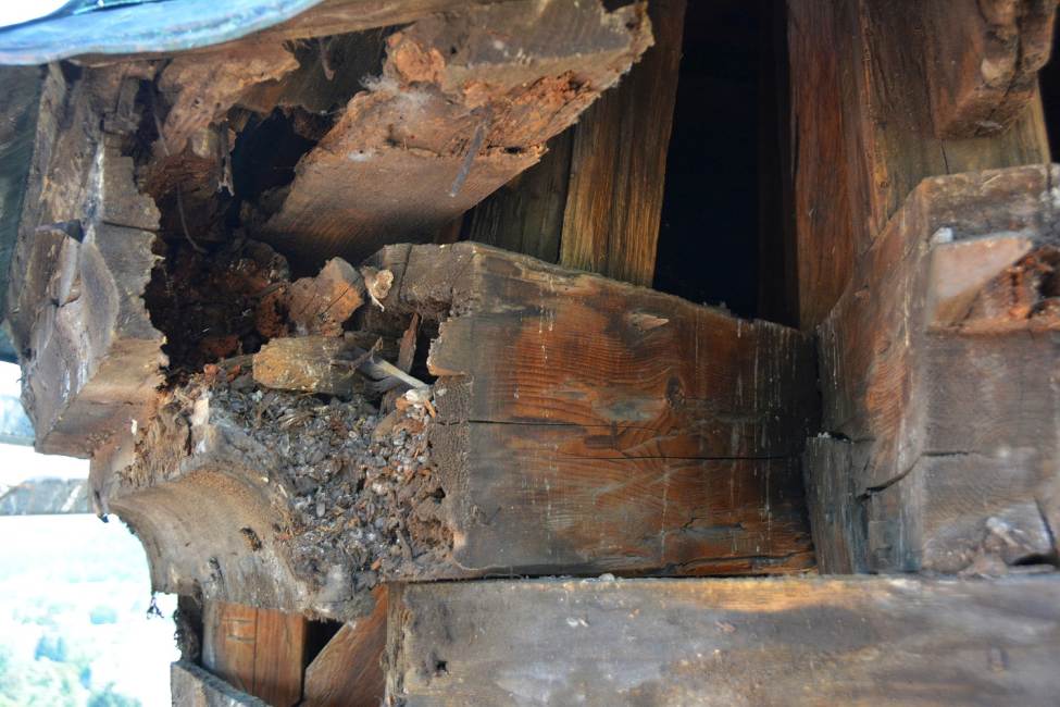 Detail poškodeného trámu veže po odkrytí krytiny, zdroj : Ivan Radimák, KPÚ Trenčín