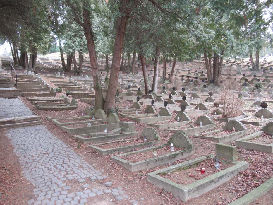 03 – Pohľad na časť vojnového cintorína, autor fotografie I. Radimák
