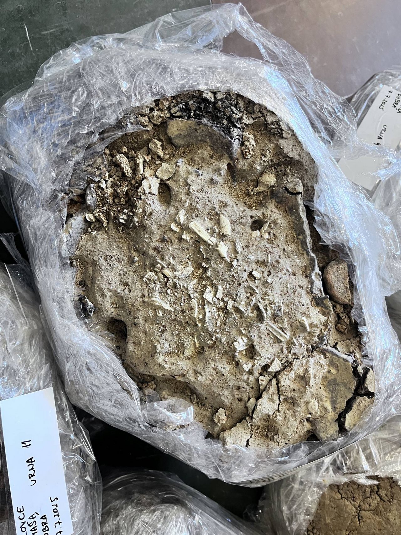 Detailný pohľad na urnu č. 11; výplň hrobu tvoria kalcinované kosti, popol, uhlíky a zlomky keramiky z urny, foto: J. Jusko    