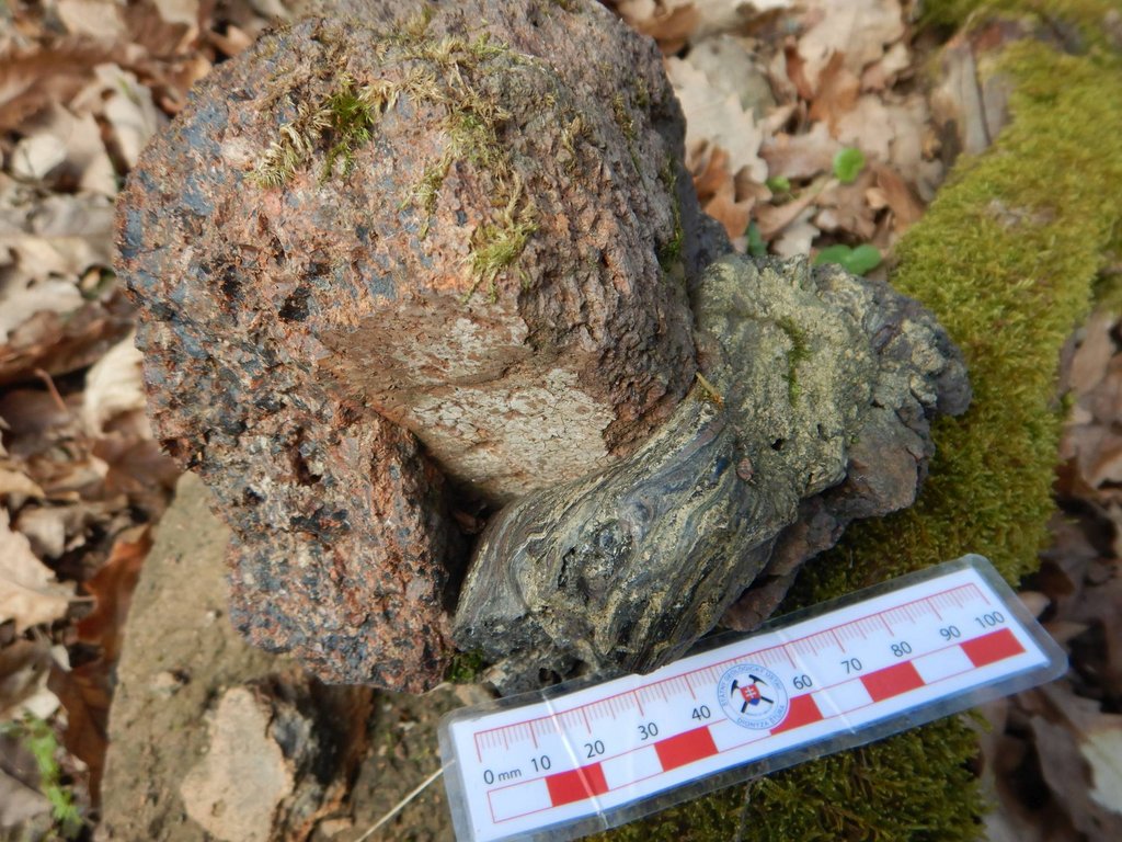 Hornina so stopami tečenia v plastickom stave, nájdená na hradisku Krivín, k. ú. Rybník, okr. Levice, foto: Mário Olšavský