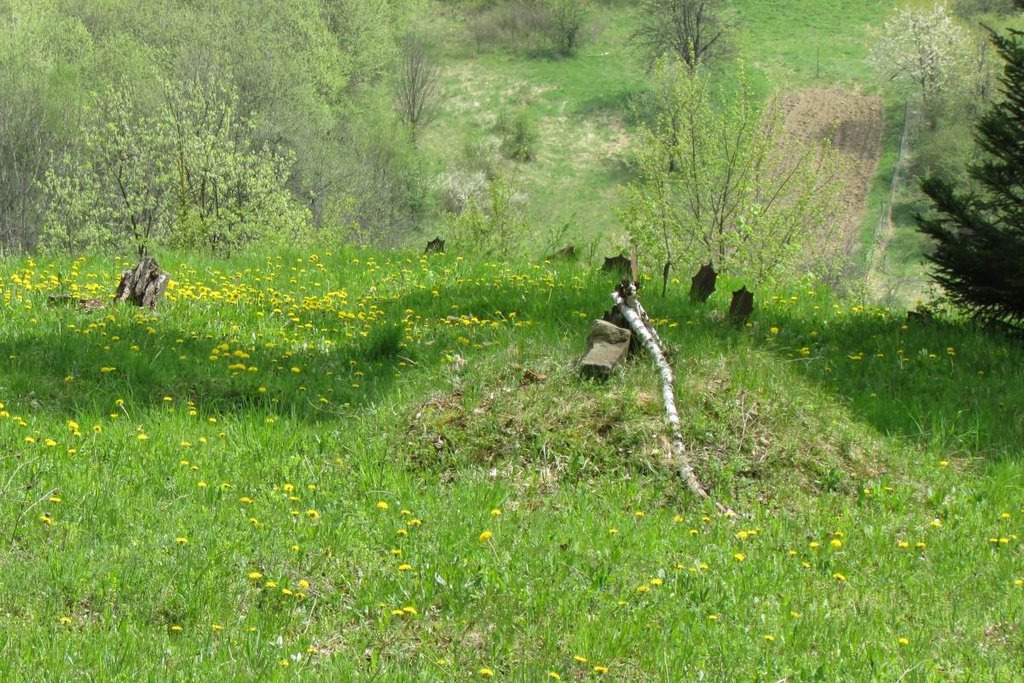 Parihuzovce, pohľad na centrálnu časť cintorína po obnove