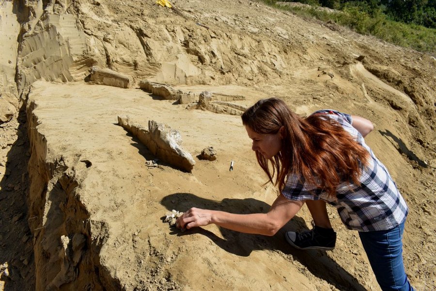 01 – Archeologický a paleontologický prieskum nálezovej situácie, autor: Peter Grznár