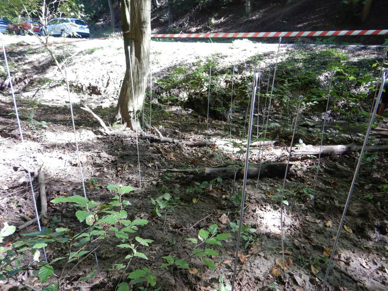 Vyhľadávanie militárií kovovými tyčami, zdroj: KPÚ Trnava, foto: M. Sládok