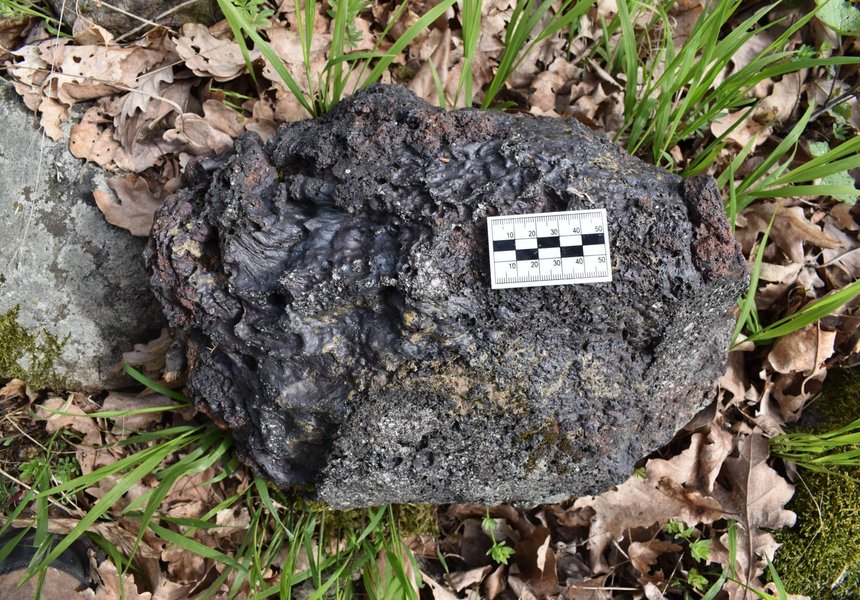 Vzorka horniny so stopami tečenia v plastickom stave, nájdená na tzv. Vale obrov (Spečenom vale) v k. ú. Pečenice, okr. Levice, foto: Peter Bisták