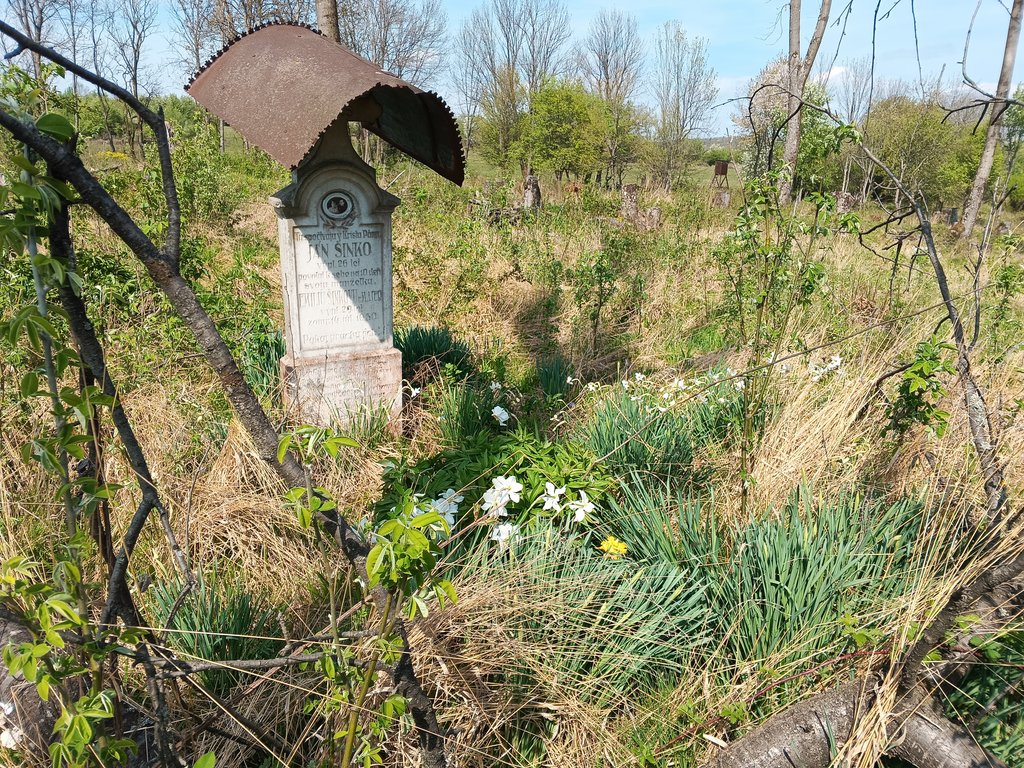 Lešť, cintorín zaniknutej dediny, náhrobník z roku 1950, foto: M. Miňo