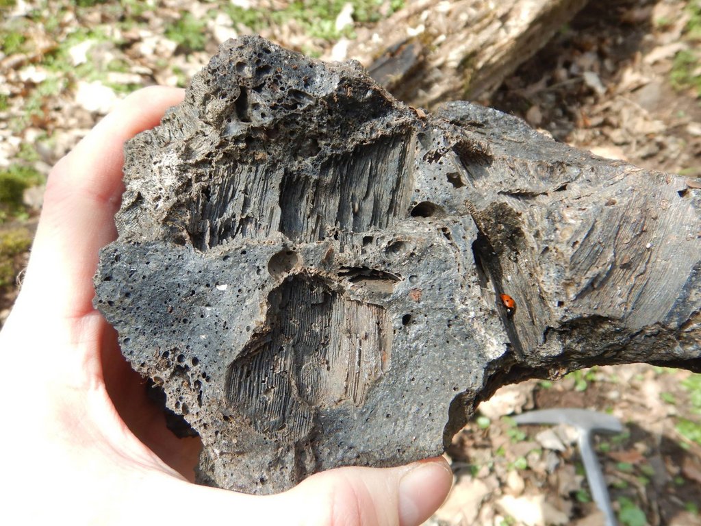 Hornina s textúrami, pripomínajúcimi odtlačky uhlíkov, ktoré vznikli v dôsledku vystavenia veľmi vysokým teplotám, foto: Mário Olšavský