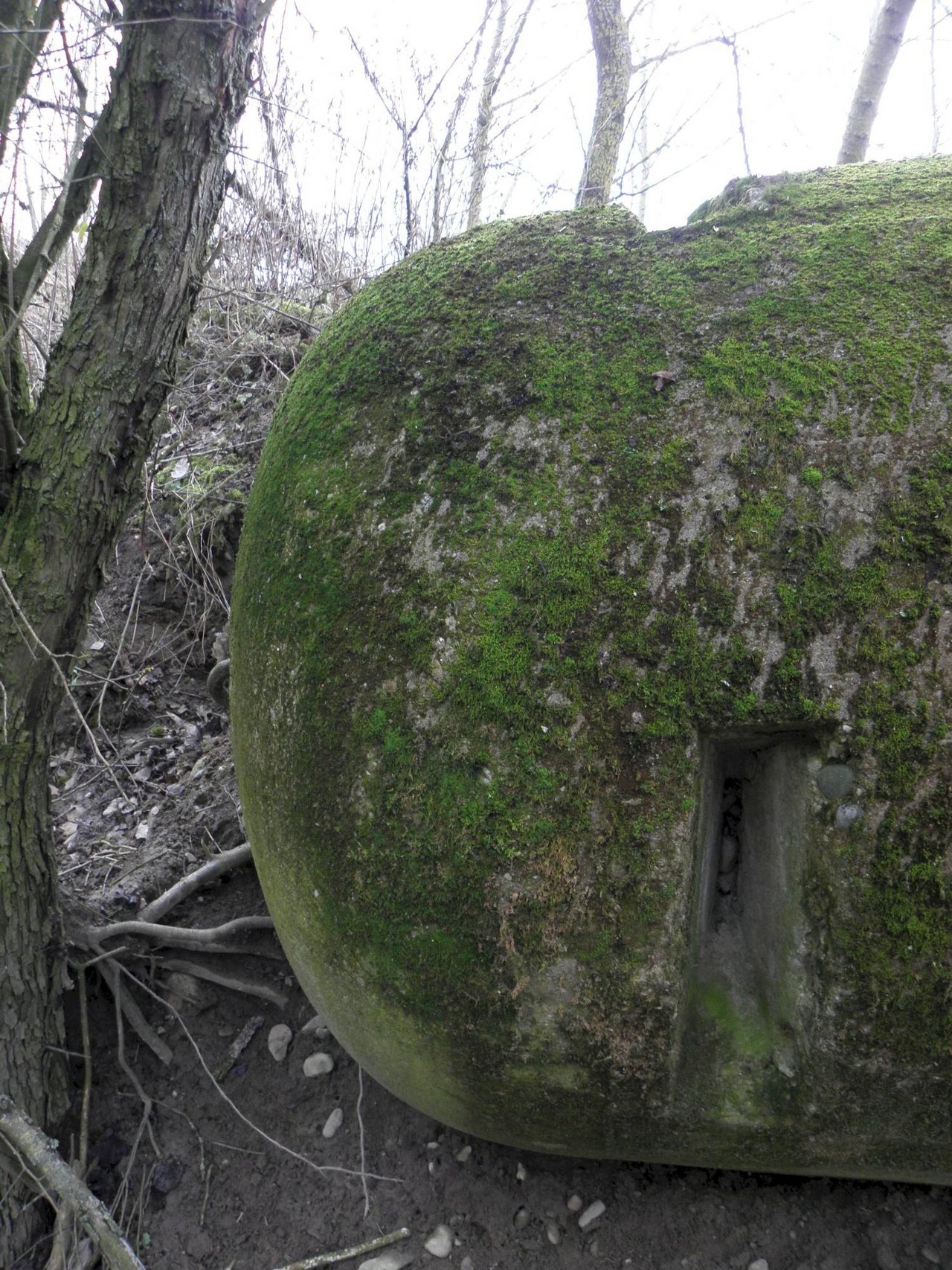 Pohľad na hornú časť Einmannbunkru, zdroj: KPÚ Trnava (foto M. Sládok)