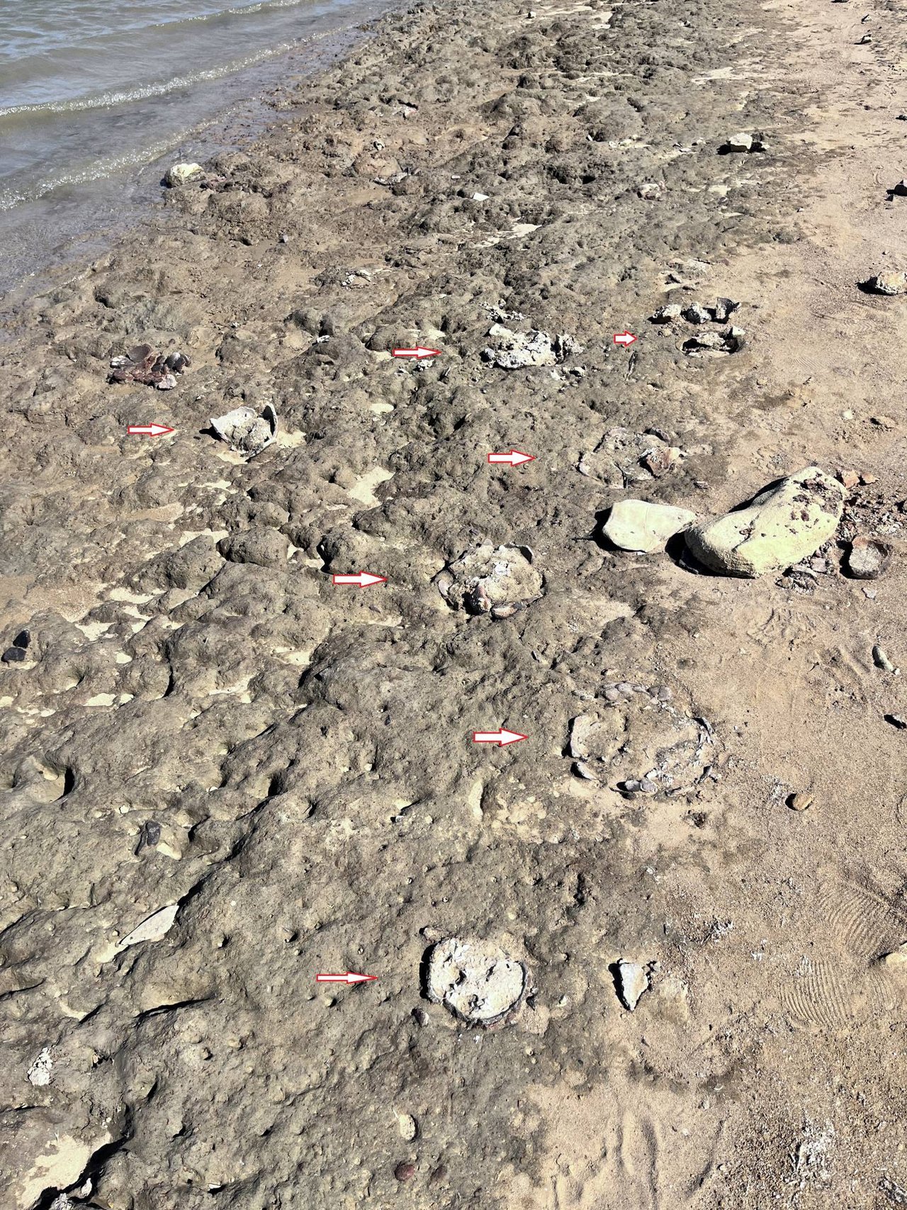 Pohľad na plochu výskumu; šípky ukazujú na hroby pred ich vybratím, foto: J. Jusko