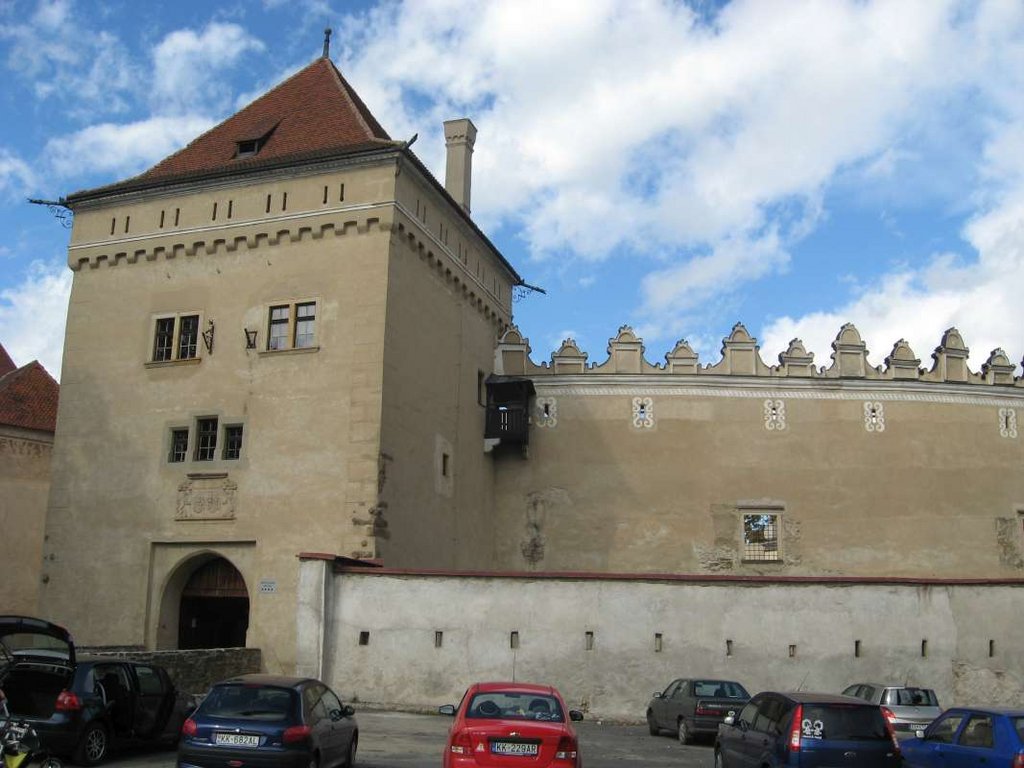 JV pohľad na Vežu bránovú, Múr parkánový a Múr hradbový pred obnovou