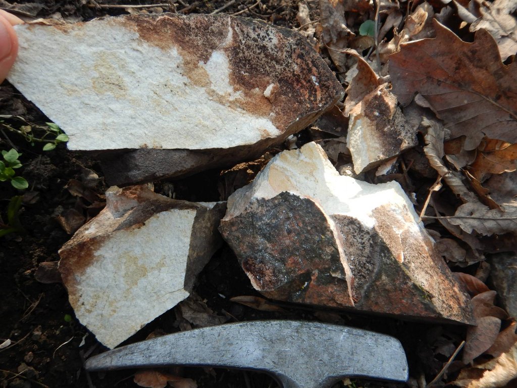 Vzorky horniny, ktorá nepatrí do miestneho geologického prostredia hradiska Krivín – spodnotriasové kremence lúžňanského súvrstvia, ktorých najbližšie výskyty sa nachádzajú v pohorí Tribeč, foto: Mário Olšavský