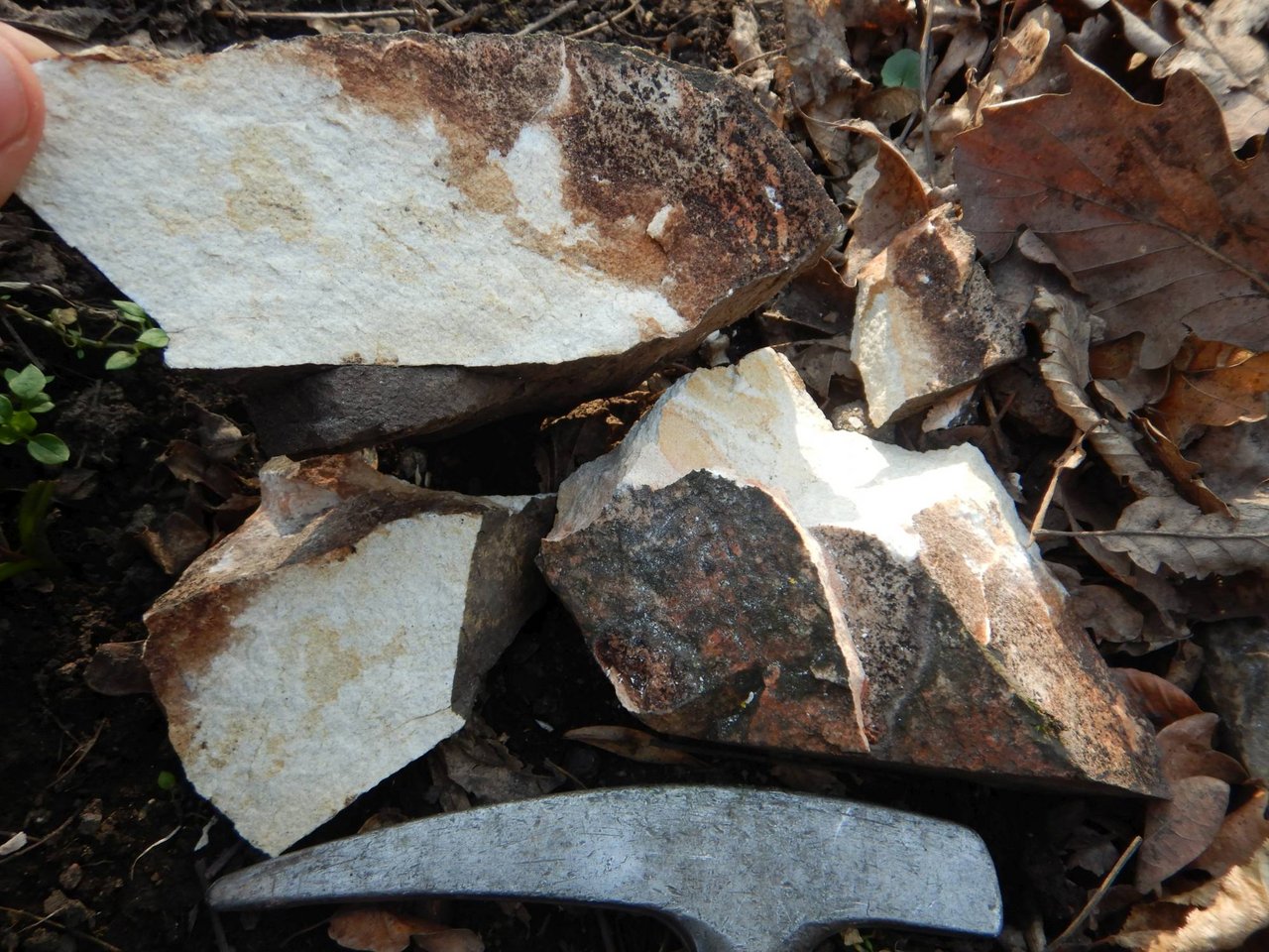 Vzorky horniny, ktorá nepatrí do miestneho geologického prostredia hradiska Krivín – spodnotriasové kremence lúžňanského súvrstvia, ktorých najbližšie výskyty sa nachádzajú v pohorí Tribeč, foto: Mário Olšavský Vzorky horniny, ktorá nepatrí do miestneho geologického prostredia hradiska Krivín – spodnotriasové kremence lúžňanského súvrstvia, ktorých najbližšie výskyty sa nachádzajú v pohorí Tribeč, foto: Mário Olšavský