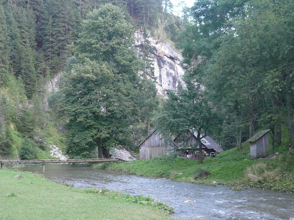 Vodné mlyny Oblazy v Kvačianskej doline, stav pred povodňou z r.2014, foto: P. Ižvolt, PÚSR