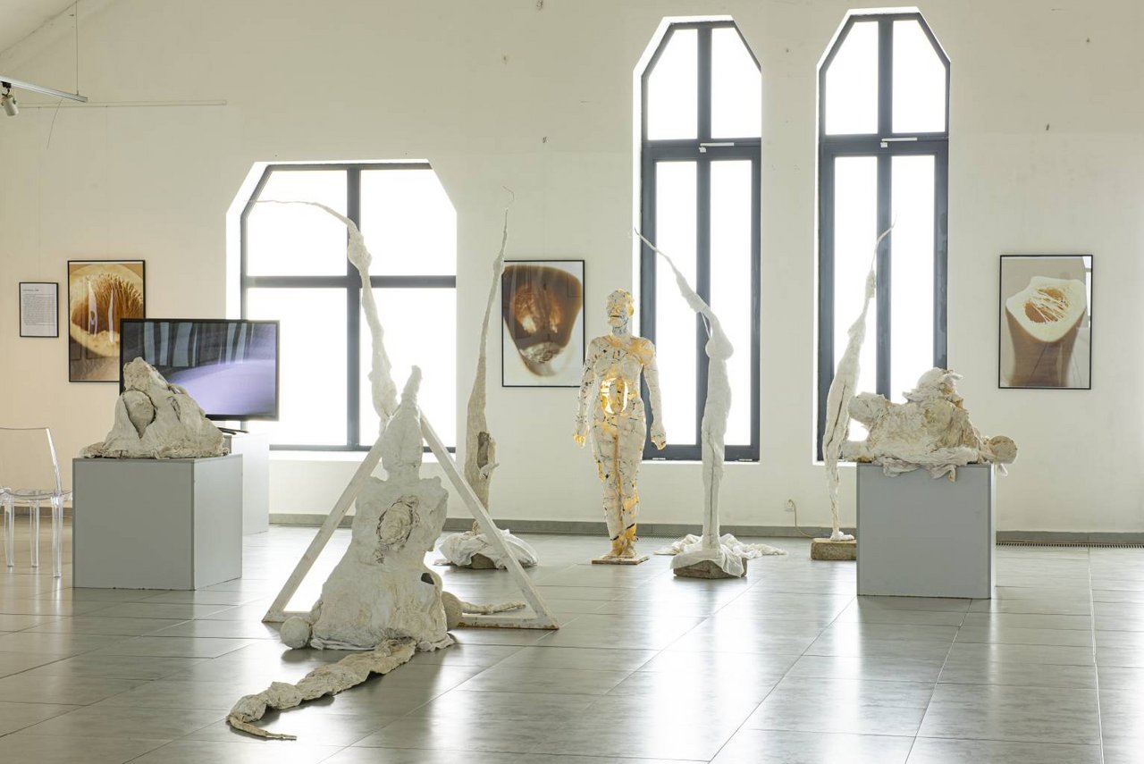 Výročnú cenu v kategórii Podujatie získala aktivita Art & Holocaust realizovaná na pôde Tatranskej galérie v Poprade Foto: A. Ondrušeková