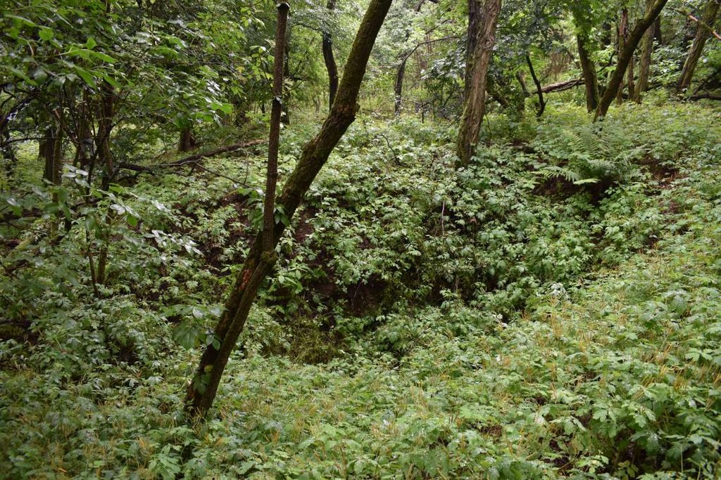 02 – Severný svah Plešovice je posiaty stopami po povrchovej ťažbe pravdepodobne andezitu, ako aj bunkrami a zákopmi z 2. svetovej vojny. Foto: P. Kmeťová