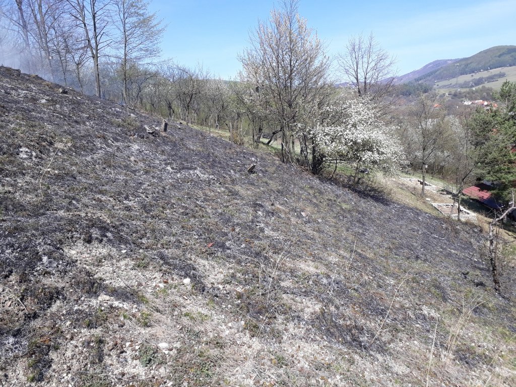 Požiar na ploche zaniknutého cintorína pri stredovekom kostole v Kšinnej, foto: M.Vargicová, PÚSR