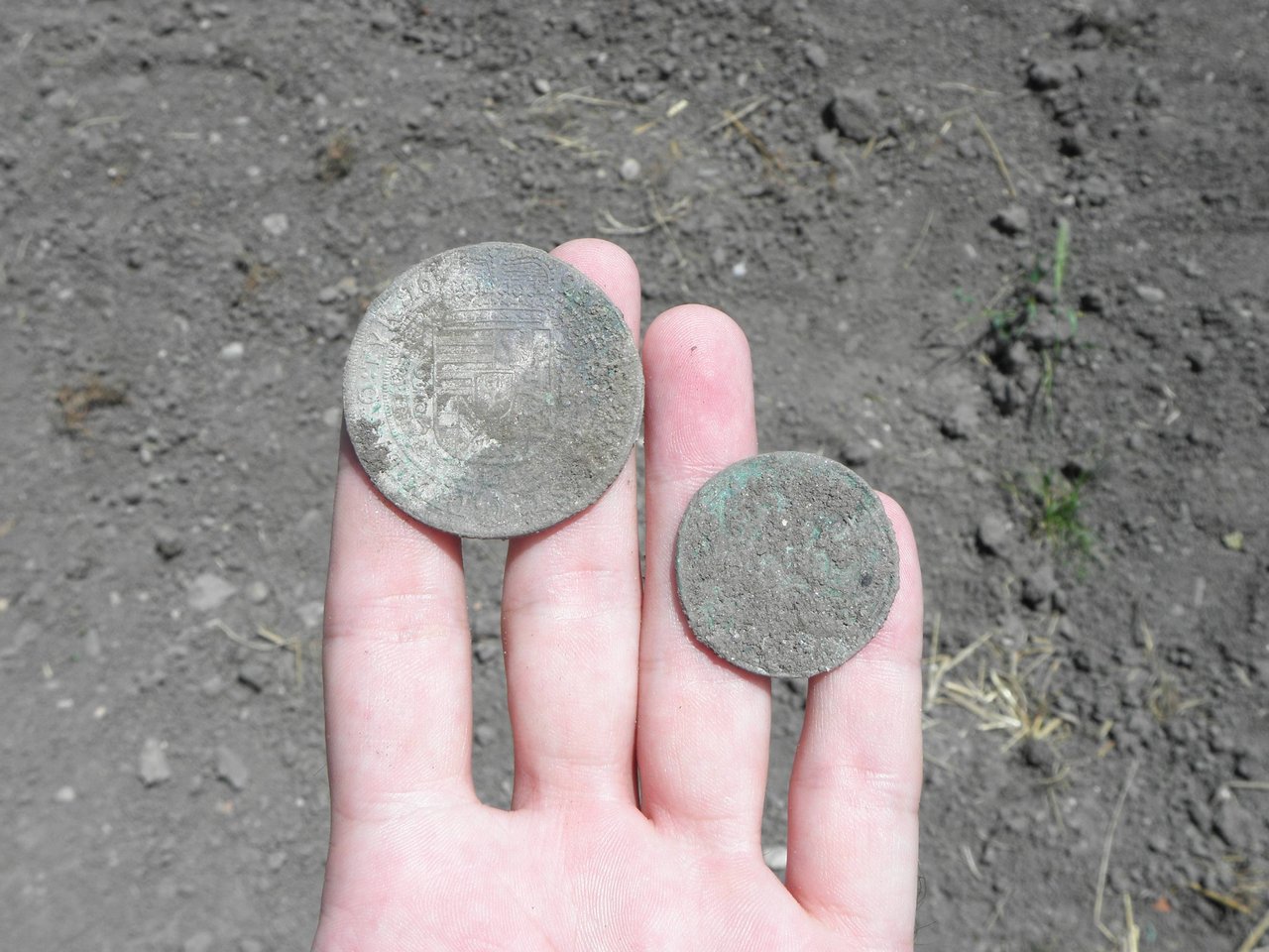 Mince vyzdvihnuté z haldy vykopanej pôdy počas archeologického výskumu miesta nálezu, zdroj: KPÚ Trnava, foto: M. Sládok