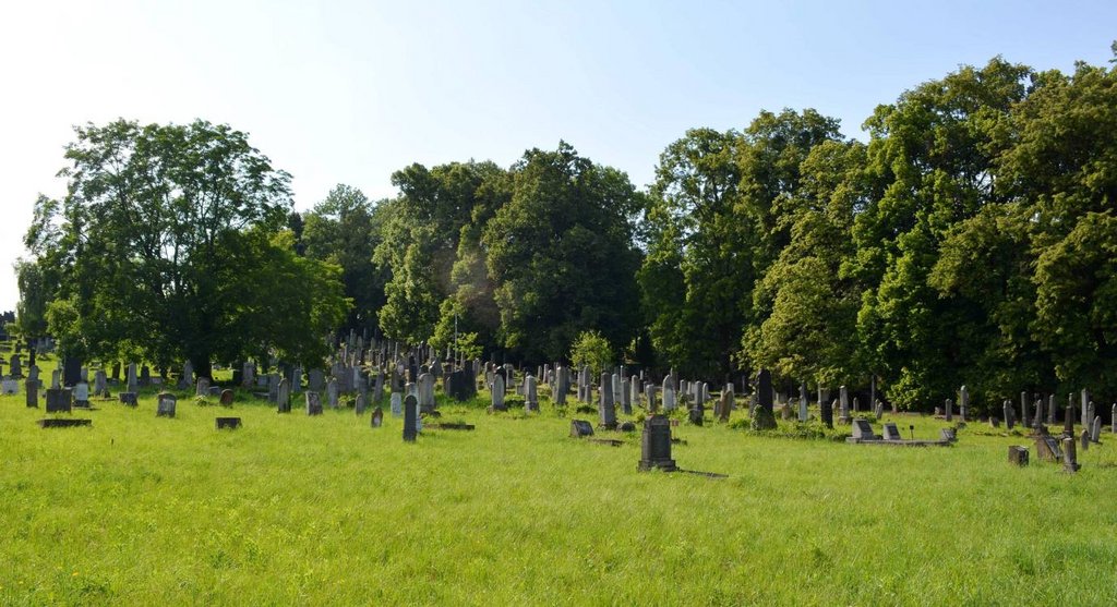 02 – Židovský neologický cintorín v Košiciach (celkový pohľad, horná časť), foto: J.Gembický, KPÚ Košice