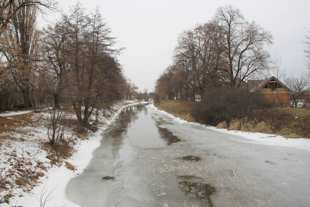 11. Aleje na oboch brehoch náhonu v jeho juhovýchodnom úseku. Foto: M.Martinák, KPÚ Nitra 2019