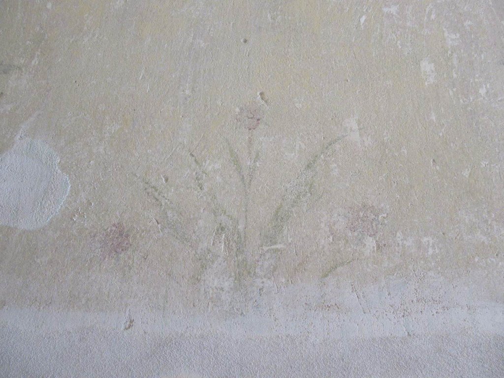 Detail nástennej maľby na severnej stene prechodu, florálny motív, foto: Archív KPÚ Trenčín