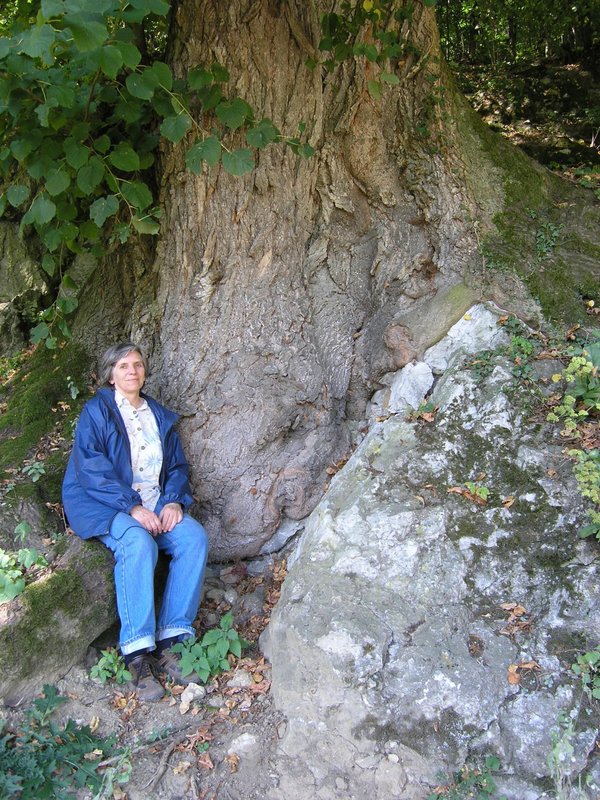 Silvia Paulusová v Skalke nad Váhom pri starobylej lipe Foto: M. Kalinová, 2006