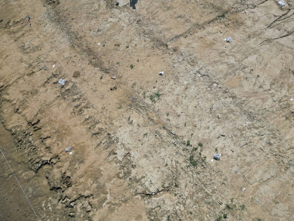 Pohľad z dronu na sektorovú sieť plochy výskumu, foto: J. Jusko Pohľad z dronu na sektorovú sieť plochy výskumu, foto: J. Jusko