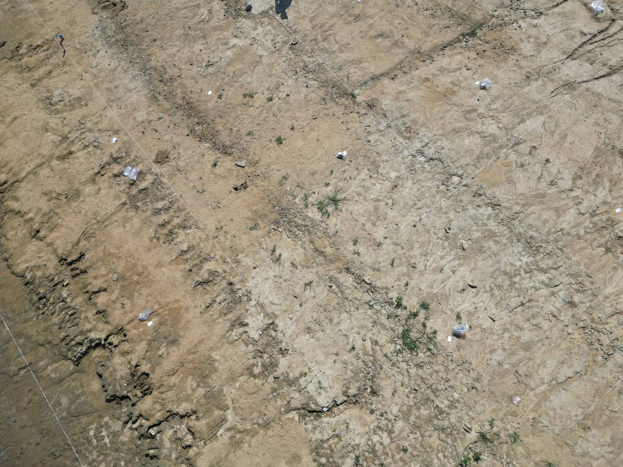 Pohľad z dronu na sektorovú sieť plochy výskumu, foto: J. Jusko