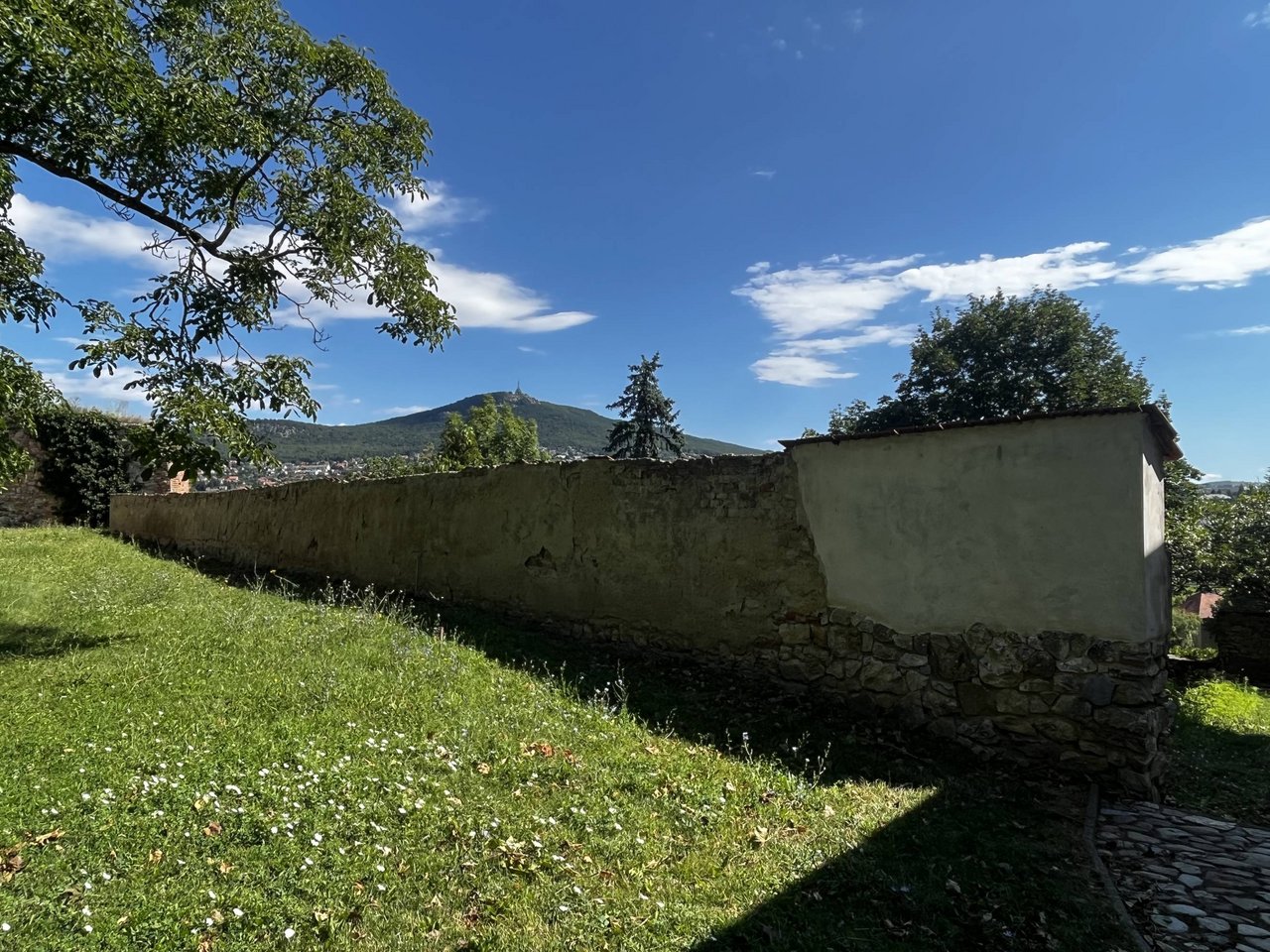 Múr v areáli KPÚ Nitra pred a po odstránení náletovej zelene, Zdroj: KPÚ Nitra (Foto: Z. Holičková) 