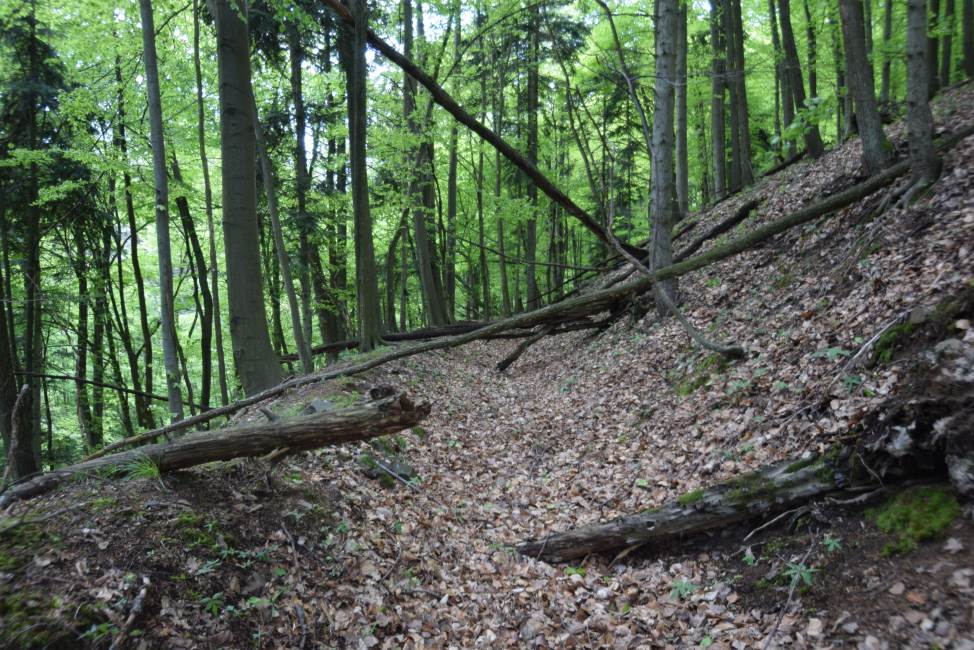 08 -  príklad dnes už nefunkčného banského jarku bez cesty, oblasť Štiavnických Baní