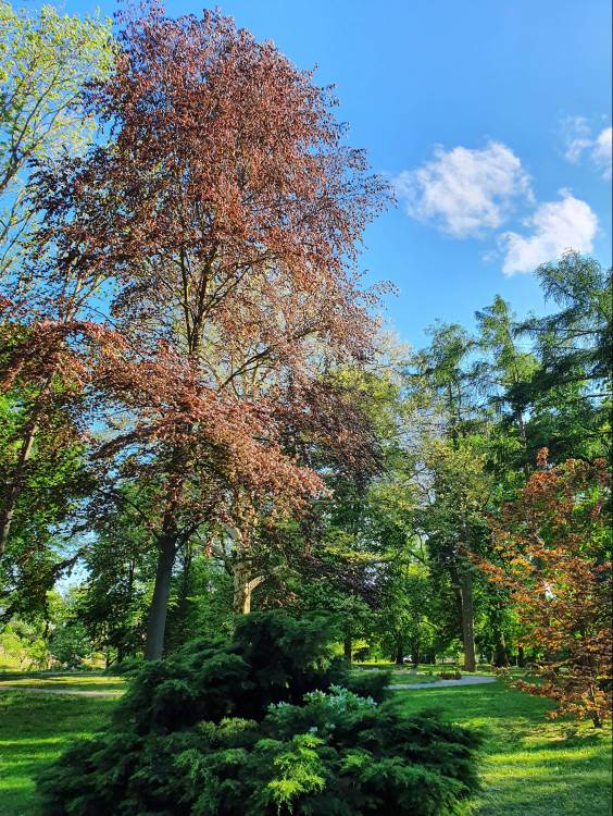 03 – Budimír – historický park, foto: V. Sobota, KPÚ Košice