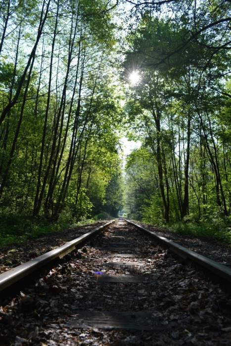 04 – Detská železnica Košice – Čermeľ, trasa, foto: J. Gembický, KPÚ Košice