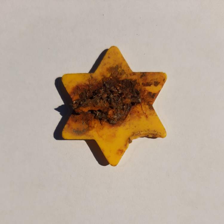 02 – Rub žltého plastového odznaku tvare židovskej šesťcípej hviezdy s pozostatkom železného spínadla. Foto: Petra Kmeťová