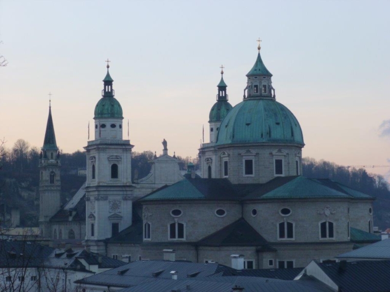 P1110085-v.jpg