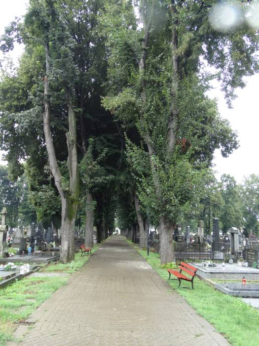 04 – Cintorín Topoľčany - pohľad do aleje, zdroj: KPÚ Nitra