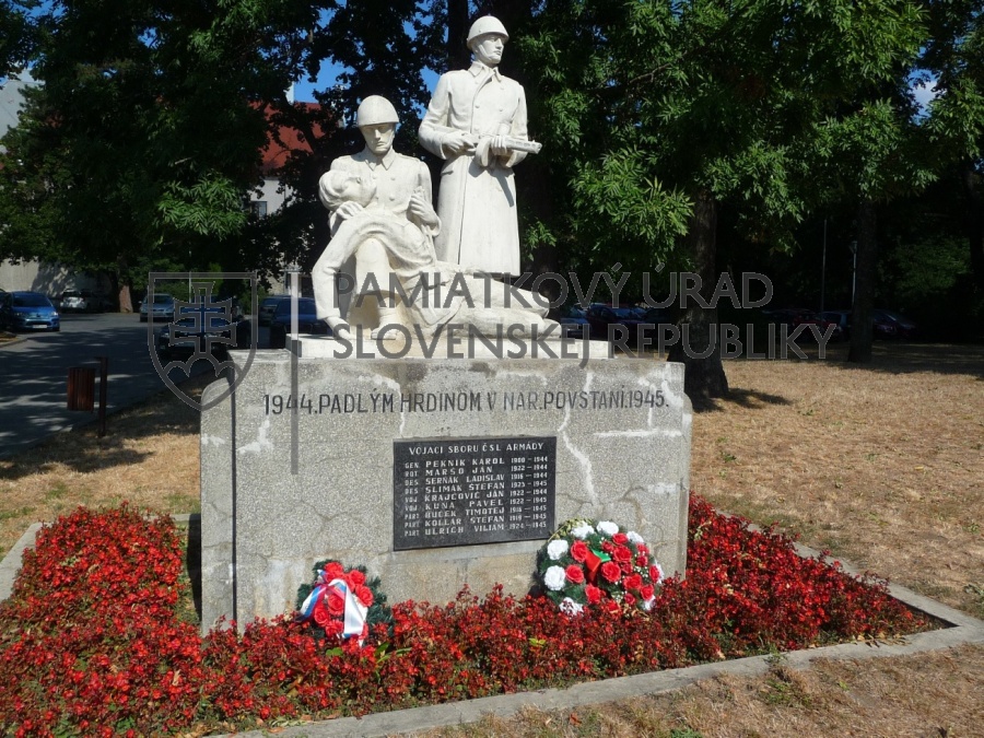 Identifikačná fotografia