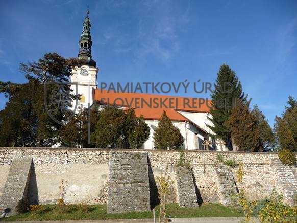 Identifikačná fotografia