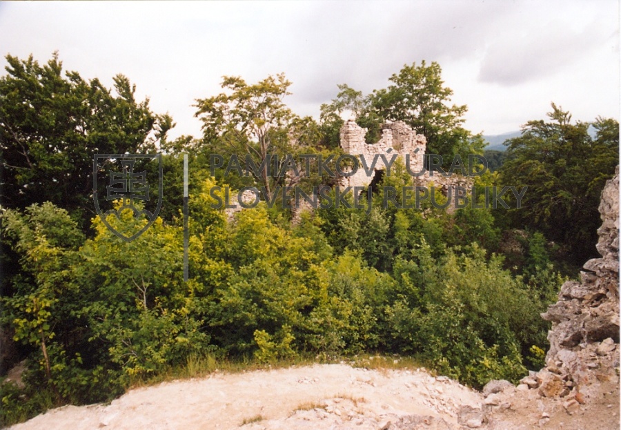 Identifikačná fotografia