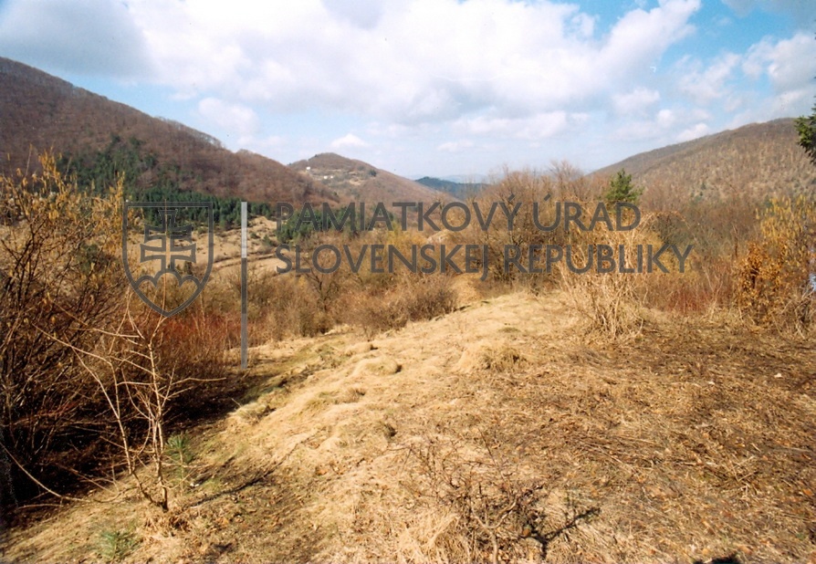Identifikačná fotografia