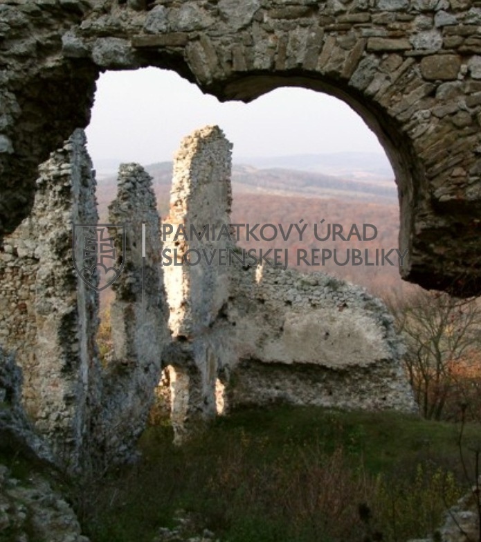 Identifikačná fotografia