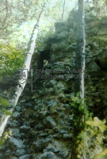 Identifikačná fotografia