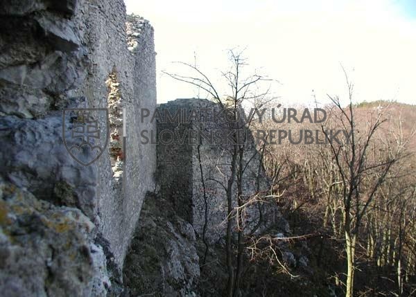 Identifikačná fotografia