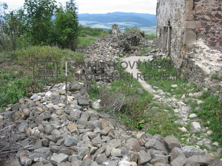 Identifikačná fotografia