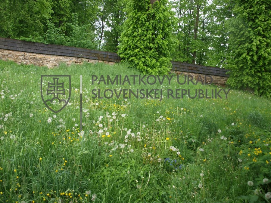 Identifikačná fotografia