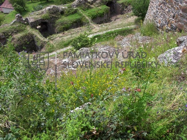 Identifikačná fotografia