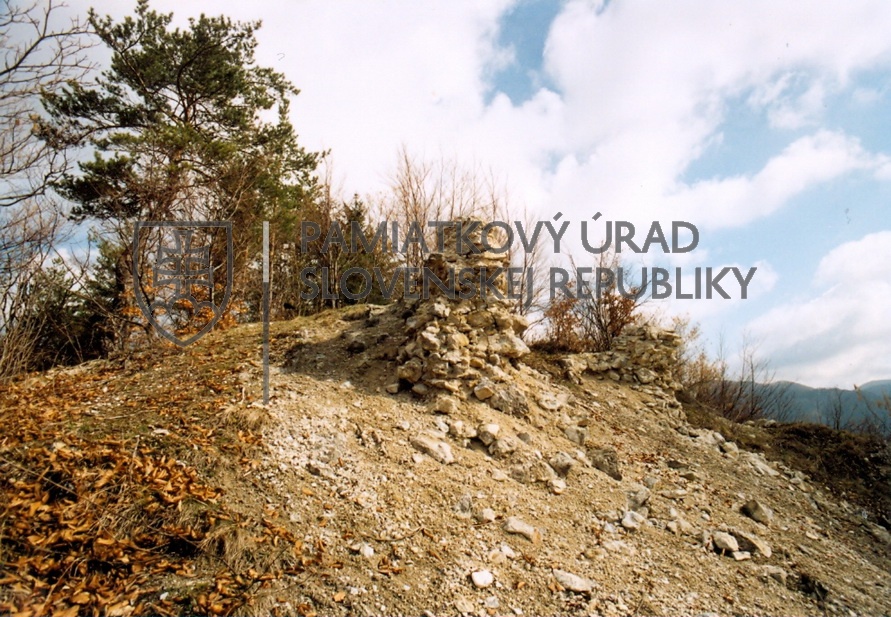 Identifikačná fotografia