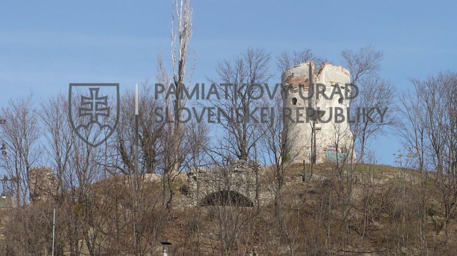 Identifikačná fotografia