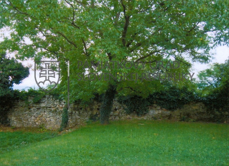 Identifikačná fotografia