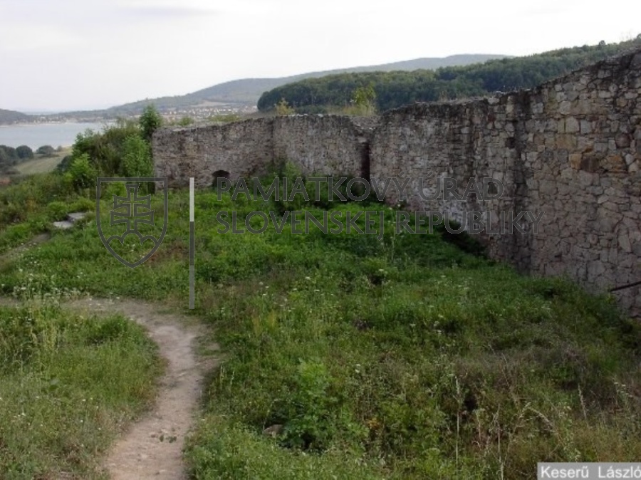 Identifikačná fotografia