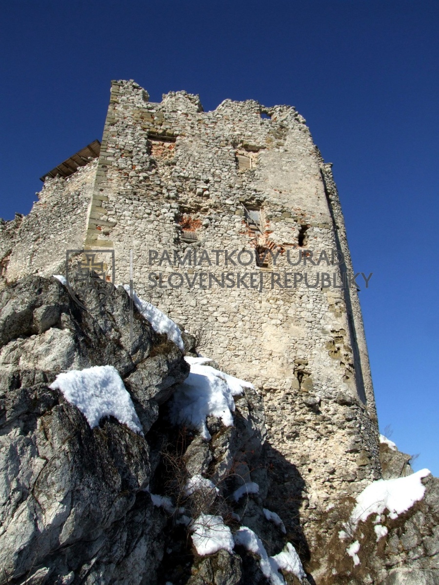 Identifikačná fotografia