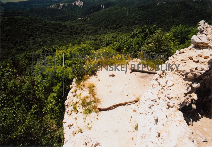 Identifikačná fotografia